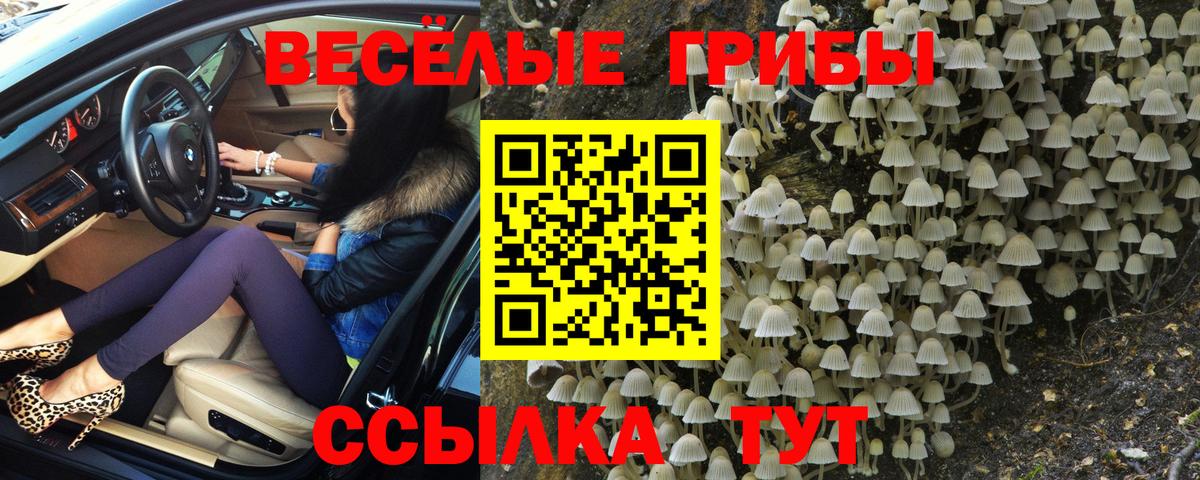 Псилоцибиновые грибы мухоморы  Вход с VPN  Кисловодск 