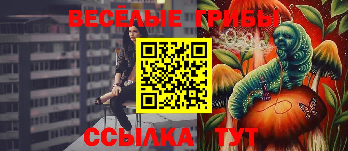 Магазин наркотиков  COCAIN  Кисловодск  Конопля  Alpha-PVP СОЛЬ кристаллы  ГАШИШ  МЕФ кристаллы  Вход с VPN 
