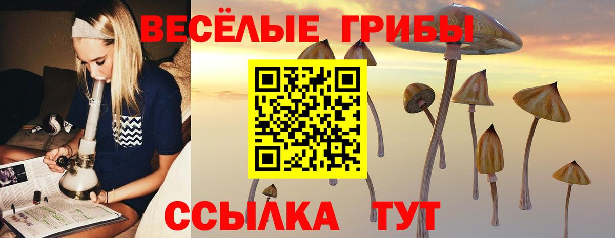 Псилоцибиновые грибы прущие грибы Кисловодск