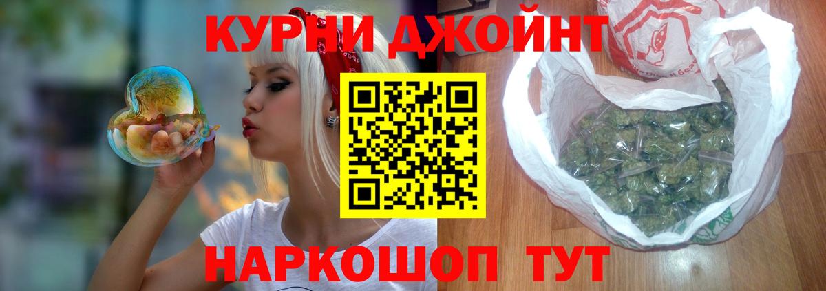 Бошки марихуана сатива Кисловодск